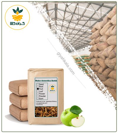 Bulk Dried Apple Fruit