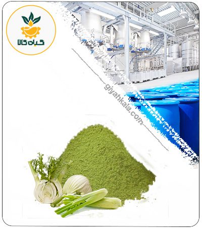 Fennel Powder Extract