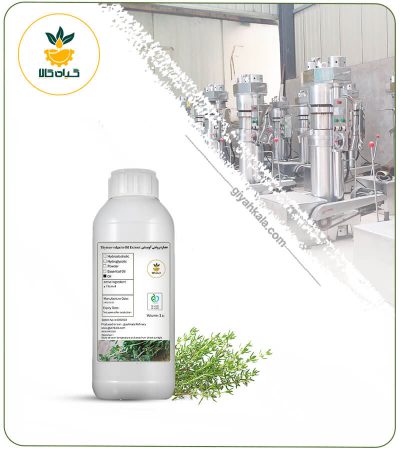 Thymus Vulgaris Oil (For Women's Vaginal Infections)