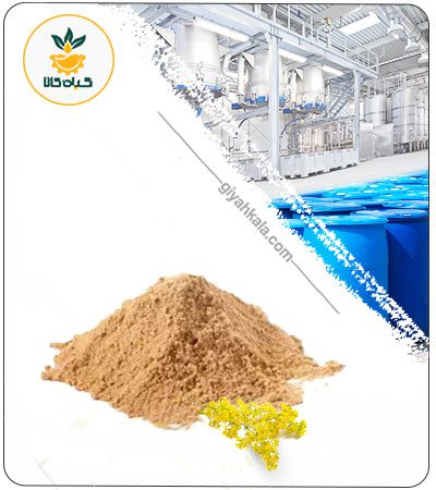 Galbanum Extract Dried or Powder