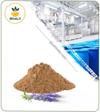 Hyssop Dried or Powder Extract