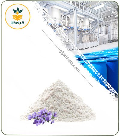 (Iranian) Lavender Dried or Powder Extract