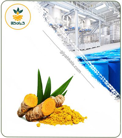 Turmeric Powder Extract