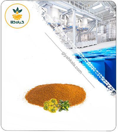 Production of shampoos and lotions