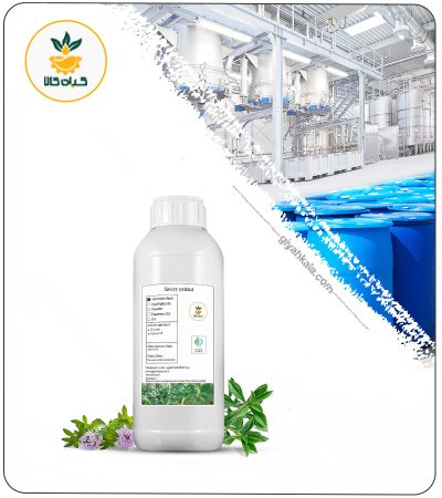 Savory Liquid Extract