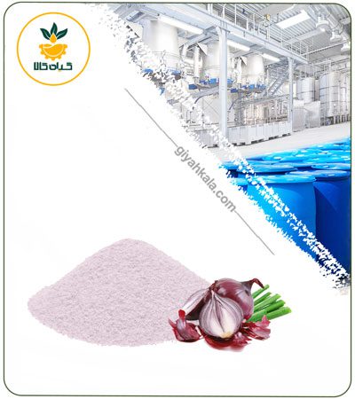 Onion Powder Extract