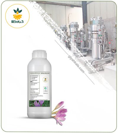 Colchicum (Suranjan) Oil