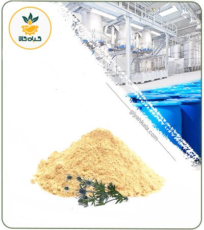 Sea Holly Powder Extract