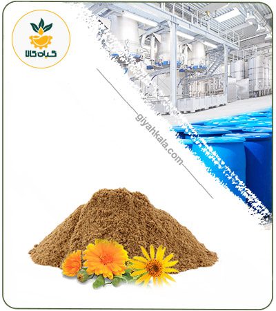 Arnica Powder Extract