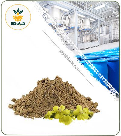 Mullein Powder Extract