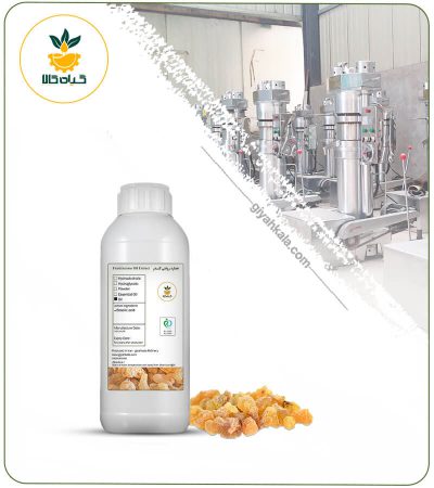 Boswellia Frankincense Oil (Based)