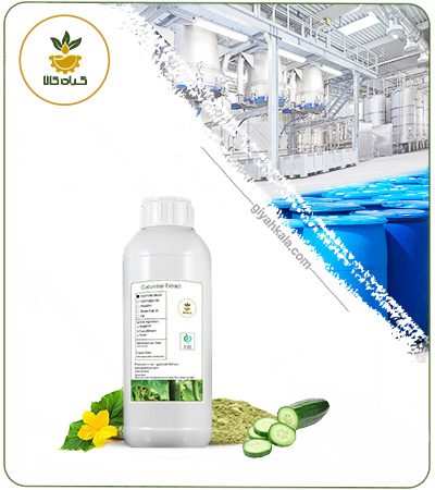 Cucumber Liquid Extract