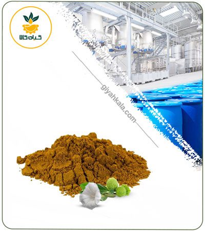 Jimsonweed (Datura Stramonium) Powder Extract