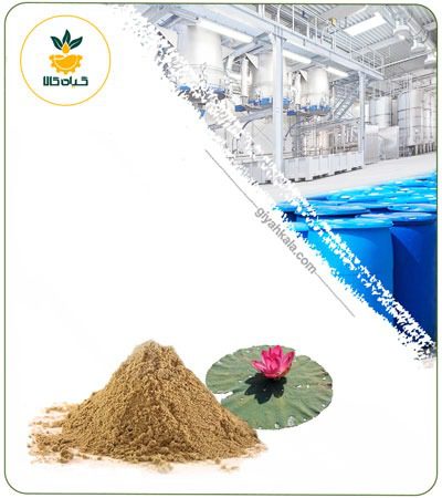 Blue Lotus Powder Extract