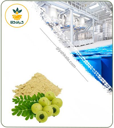 Amla Powder Extract