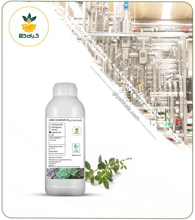 Shirazi Thyme Essential Oil