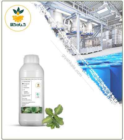Bryophyllum Liquid Extract