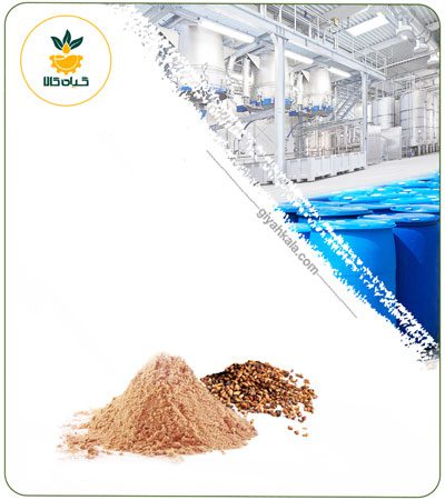 Dried or Powder Pomegranate Seed Extract