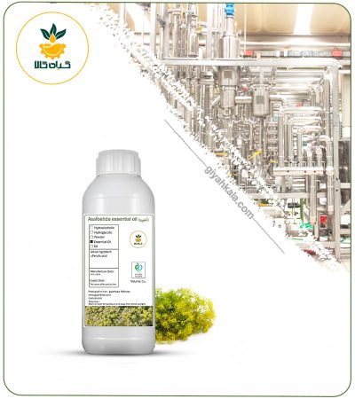 Asafoetida Essential Oil