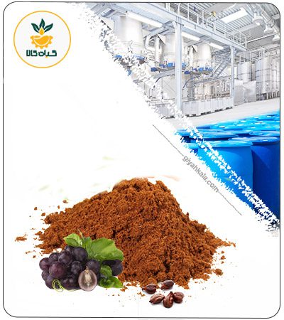 Grape Seed Powder Extract