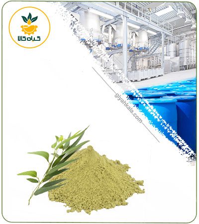 Eucalyptus Dried or Powder Leaf Extract