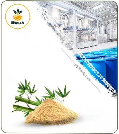 Bamboo Powder Extract