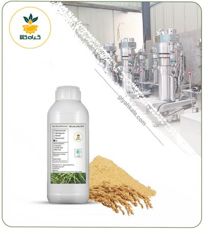 Rice Bran Oil