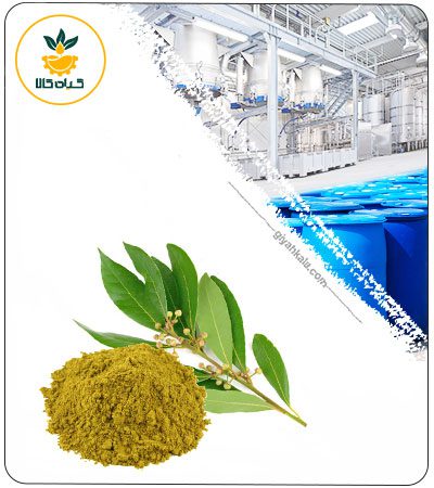 Bay Laurel Powder Extract