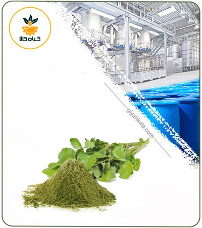 Watercress (Nasturtium Officinale) Powder Extract