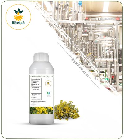 Yarrow Essential Oil