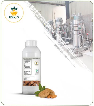 Bitter Almond Oil (Cold Pressed)