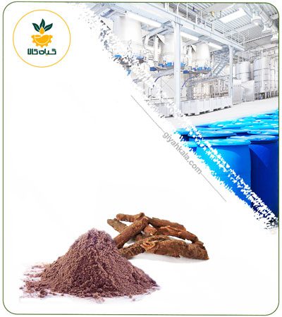 Gentian Root Powder Extract