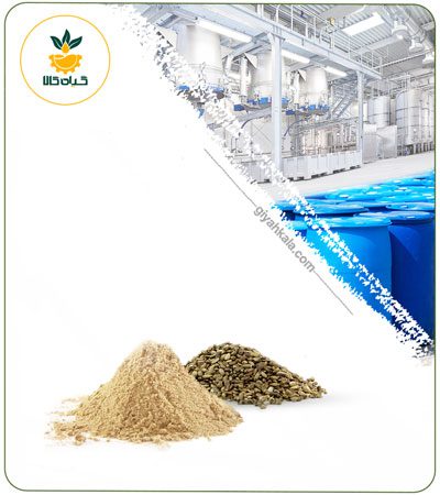 Dried or Powder Milk Thistle Seed Extract