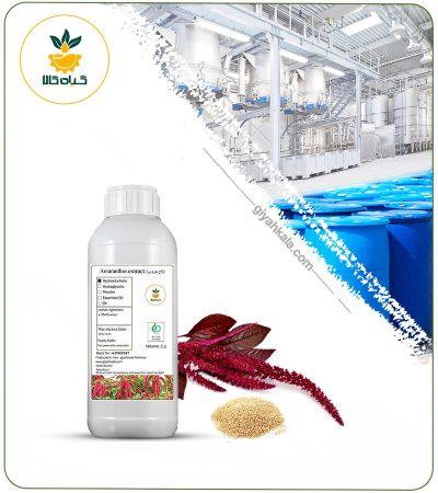 Amaranth (Amaranthus) Liquid Extract