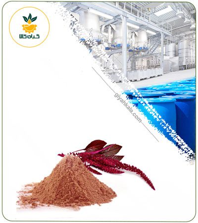 Amaranth (Amaranthus) Powder Extract