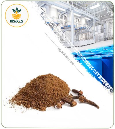 Dried or Powder Clove Extract