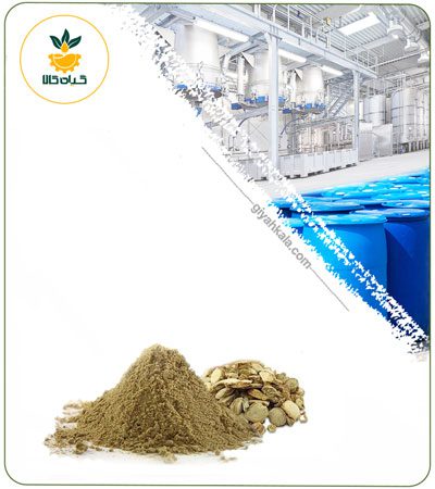 Zedoary Powder Extract