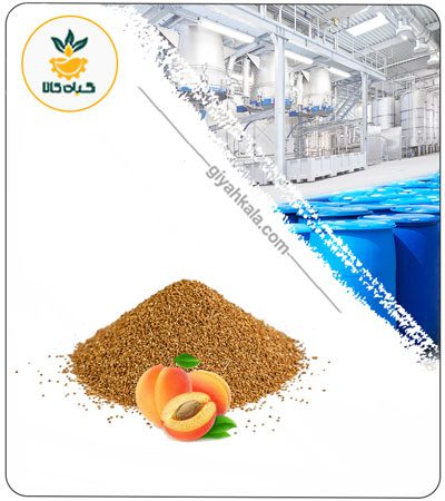 Apricot Dried or Powder Extract