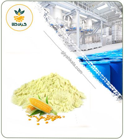 Corn Powder Extract