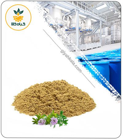 Savory Powder Extract