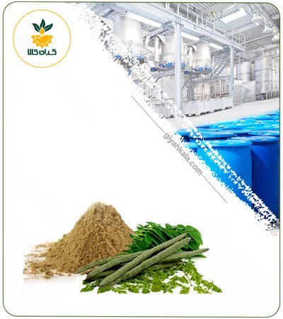 Moringa Powder Extract