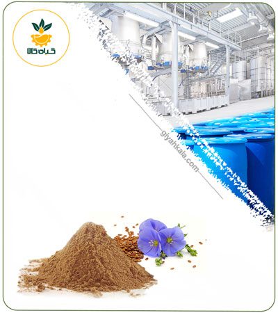 Flaxseed Powder Extract