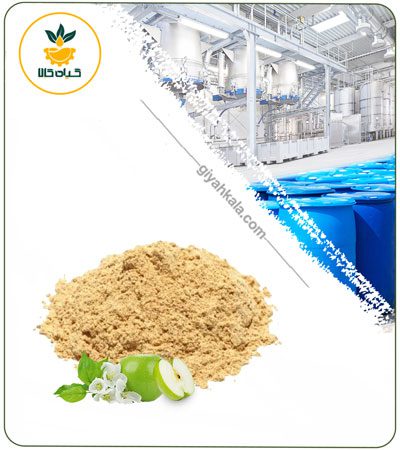 Apple Powder Extract