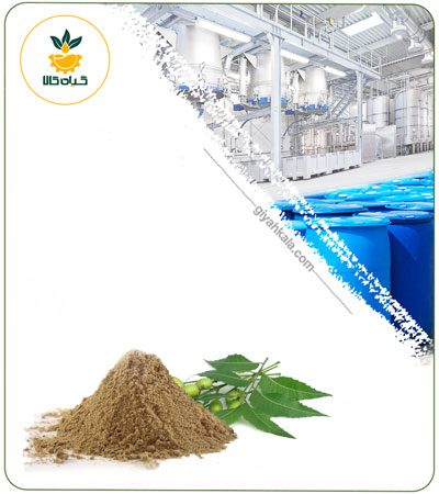 Neem Powder Extract