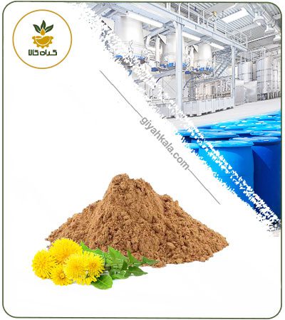 Dandelion Flower Powder Extract