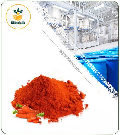 Carrot Powder Extract