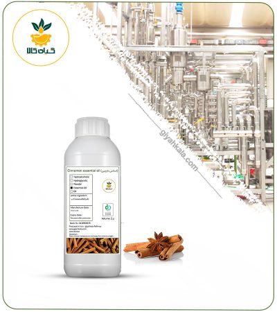 Cinnamon Essential Oil