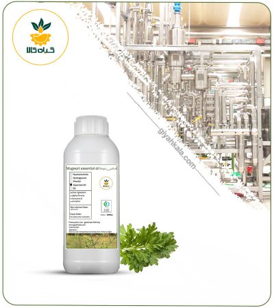 Natural Mugwort Essential Oil