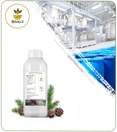 Maritime Pine Liquid Extract