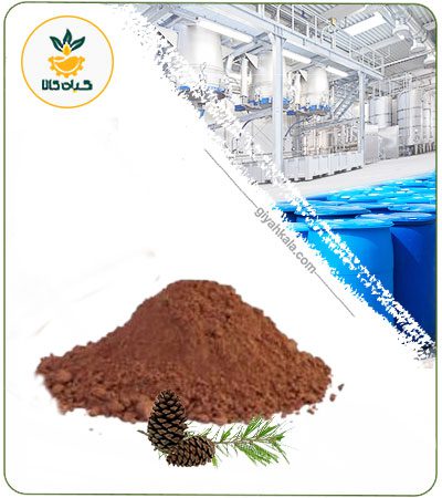 Maritime Pine Powder Extract